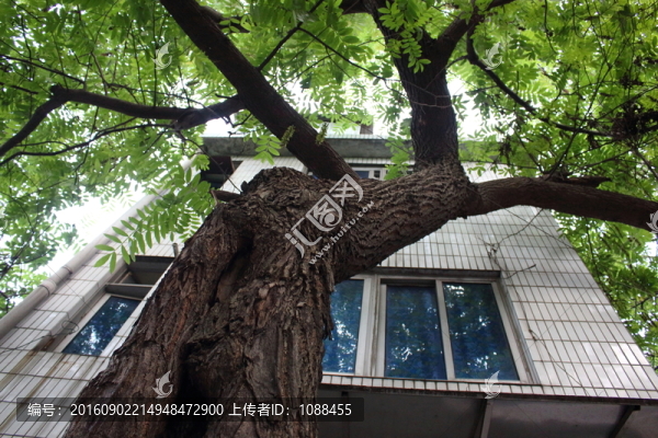 老城區(qū)