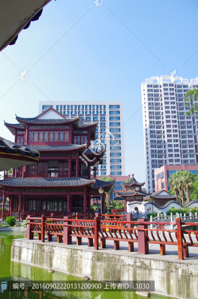 公園一角
