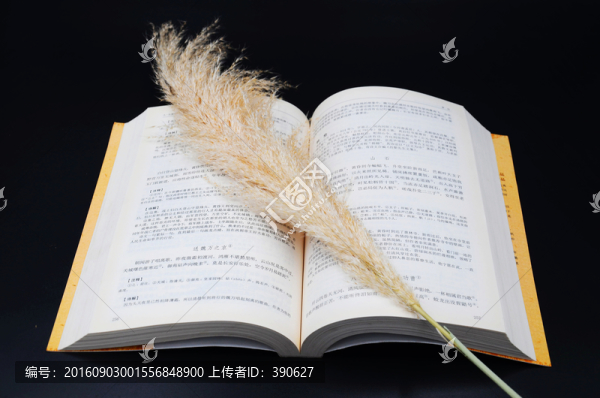 一本翻開的書