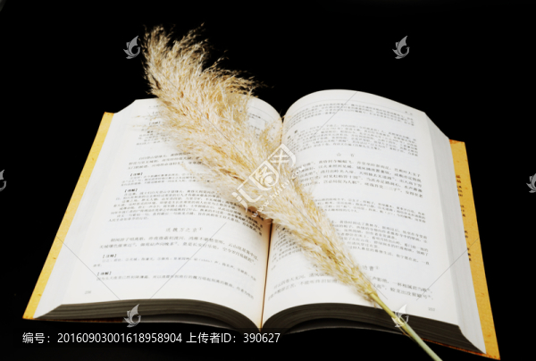 讀書