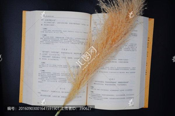 讀書