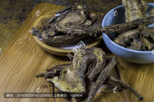 藥用中藥獨活