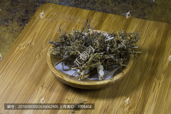 青蒿中藥素材