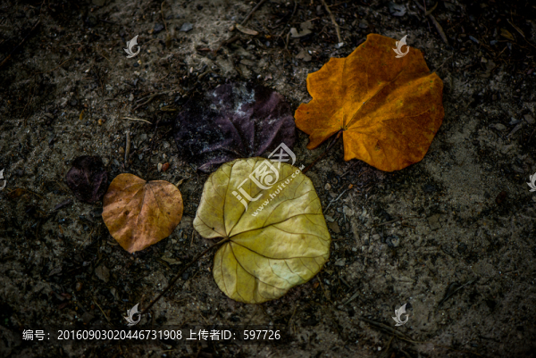 秋季素材