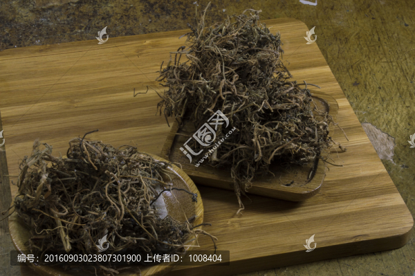 藥用中藥白花蛇蟲草