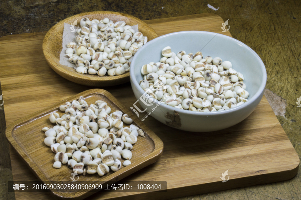 薏米中藥素材