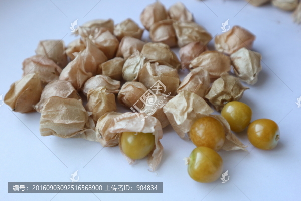 酸漿果