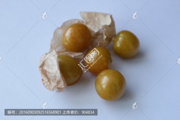 金燈果