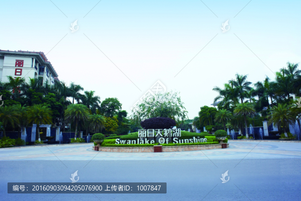 麗日天鵝湖