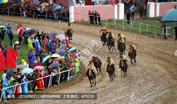 草原盛會那達(dá)慕,賽馬