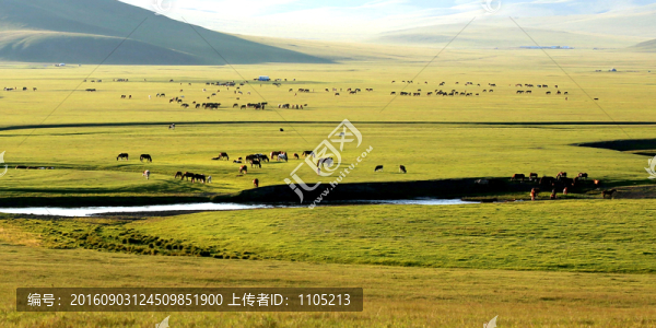 牧場(chǎng)