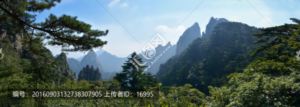 黃山全景圖