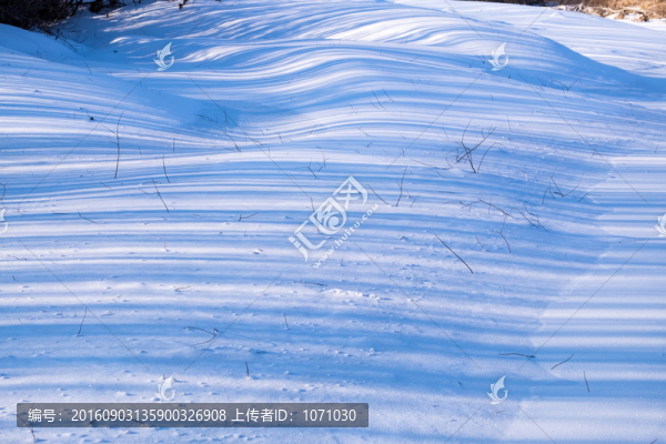 雪地