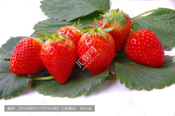 草莓