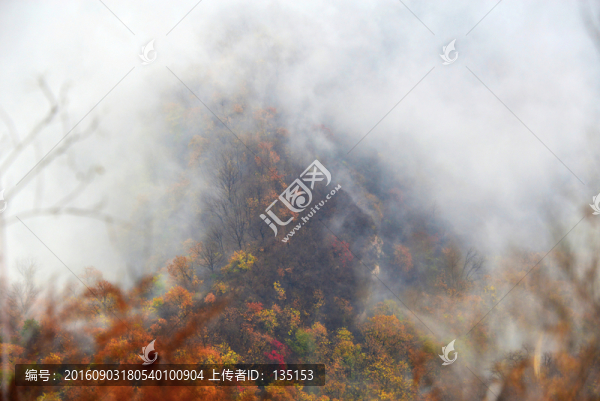 太行山林秋色