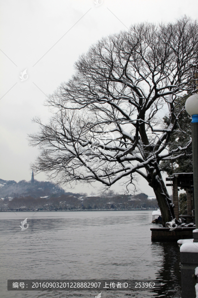 西湖雪