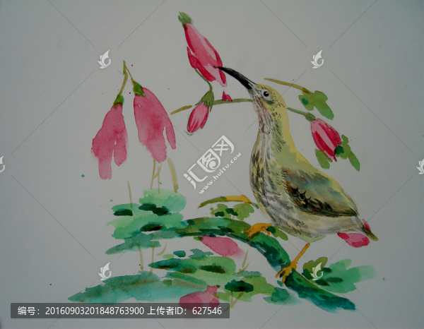 黃色小鳥