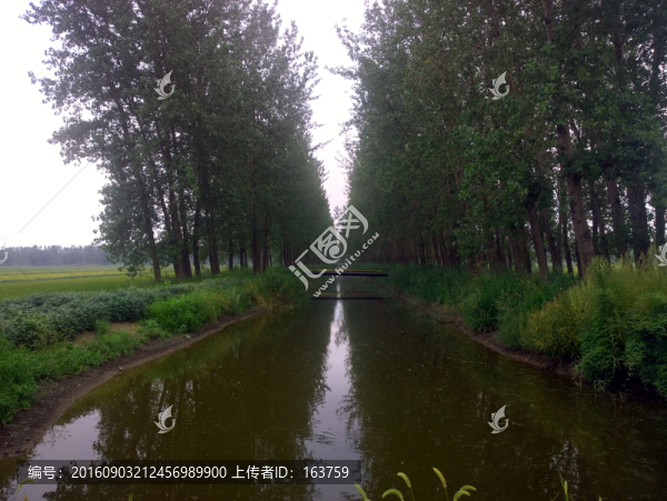 水渠及護(hù)渠林