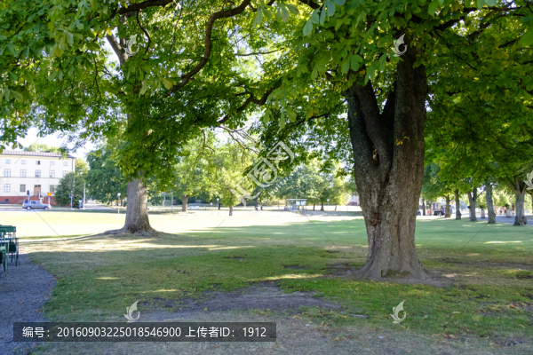 歐式莊園