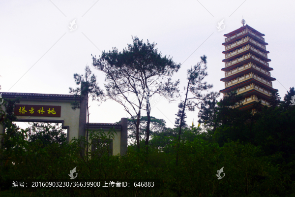 方塔,桃林