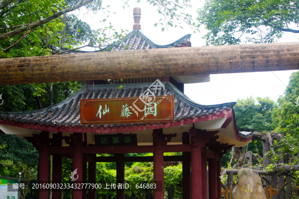 休閑亭,遮陽(yáng)亭,涼亭