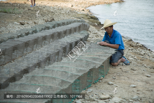 捕魚的農(nóng)民,魚網(wǎng),蝦網(wǎng)