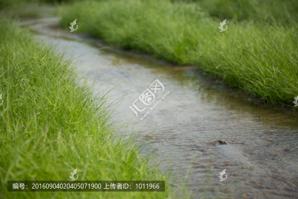 小溪流水