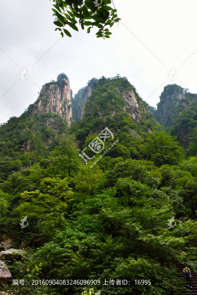 黃山
