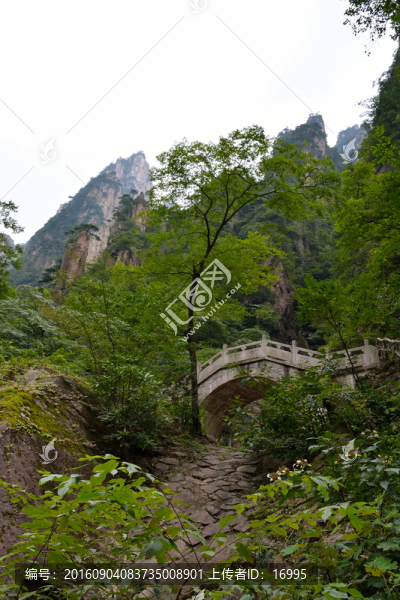 黃山