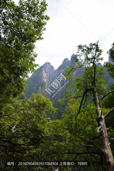 黃山