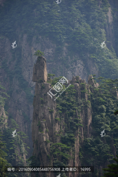 黃山