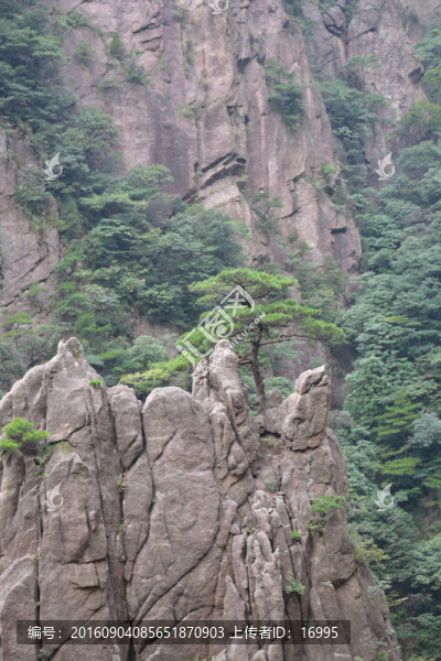 黃山