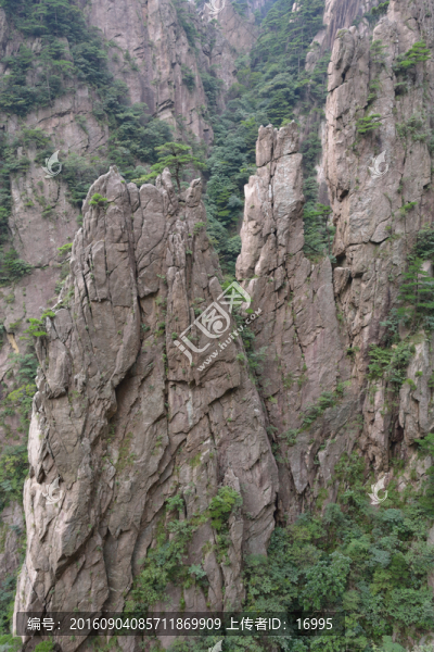 黃山