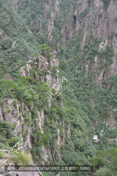 黃山