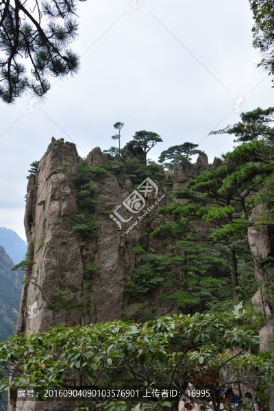 黃山