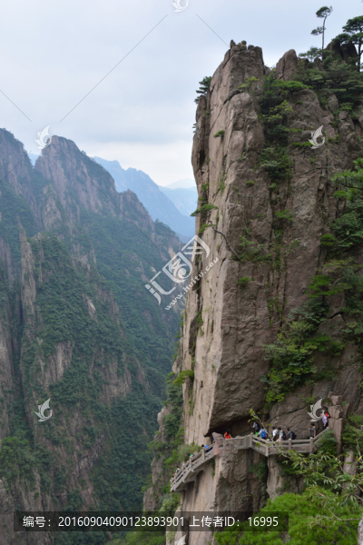 黃山