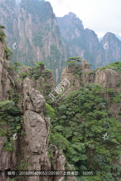 黃山奇峰怪石