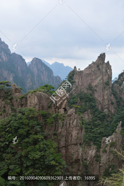 黃山