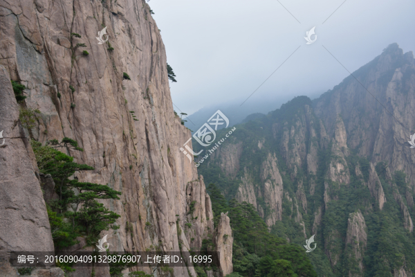 黃山