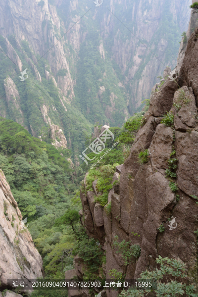 黃山