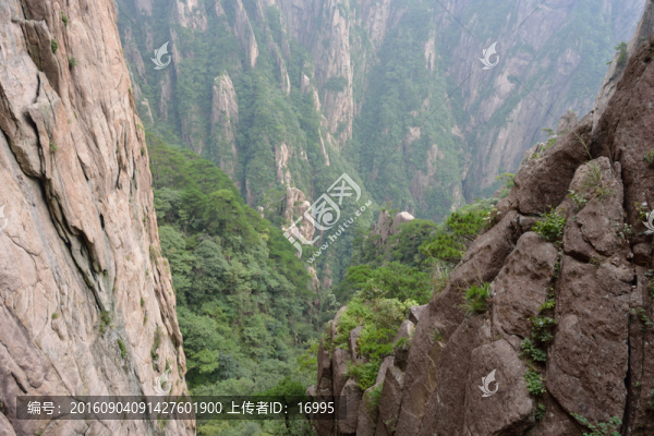 黃山