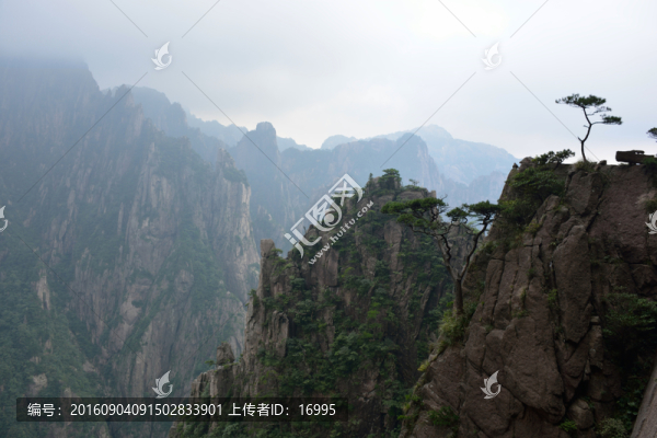 黃山