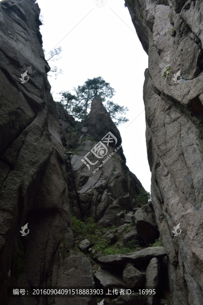 黃山