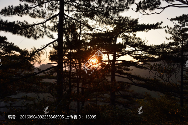 黃山日出