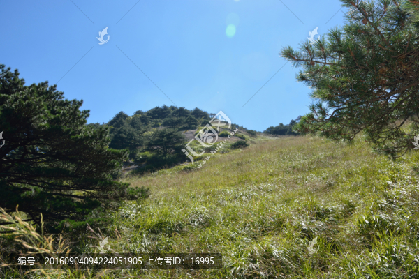 黃山