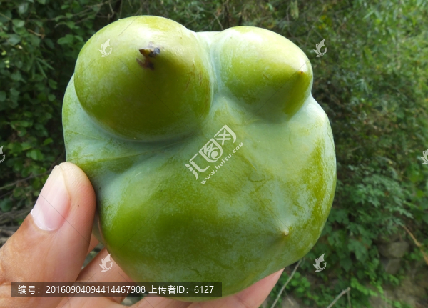 怪異柿子