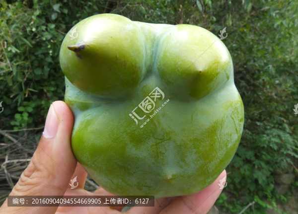 怪異柿子