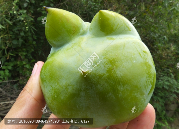 怪異柿子