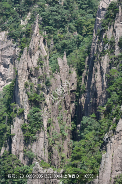 黃山