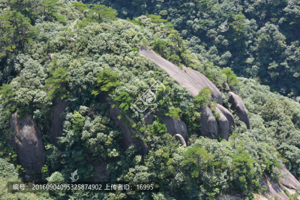 黃山